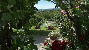 Un jardín con un pérgola, sillas y plantas en macetas.