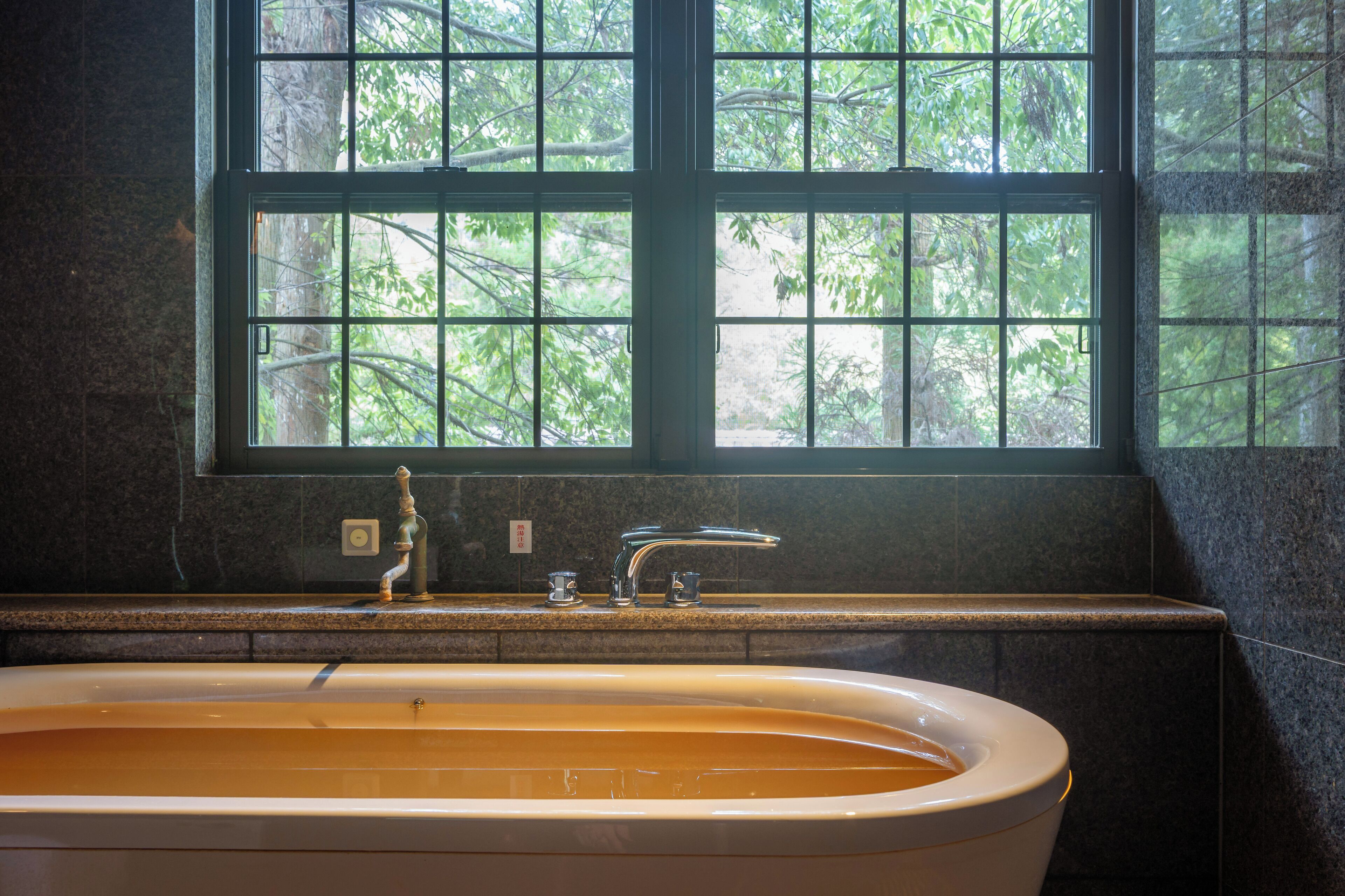 separate bathtub and shower, spring water bathtub, free toiletries