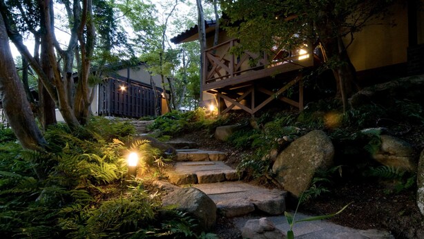 A stone pathway leading to a wooden deck with a railing, surrounded by lush greenery and ferns.
