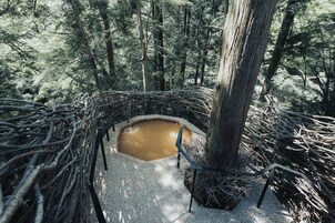 プレミアム ルーム | バスルーム | 個別の浴槽とシャワー、温泉浴槽、バスアメニティ (無料)、ヘアドライヤー