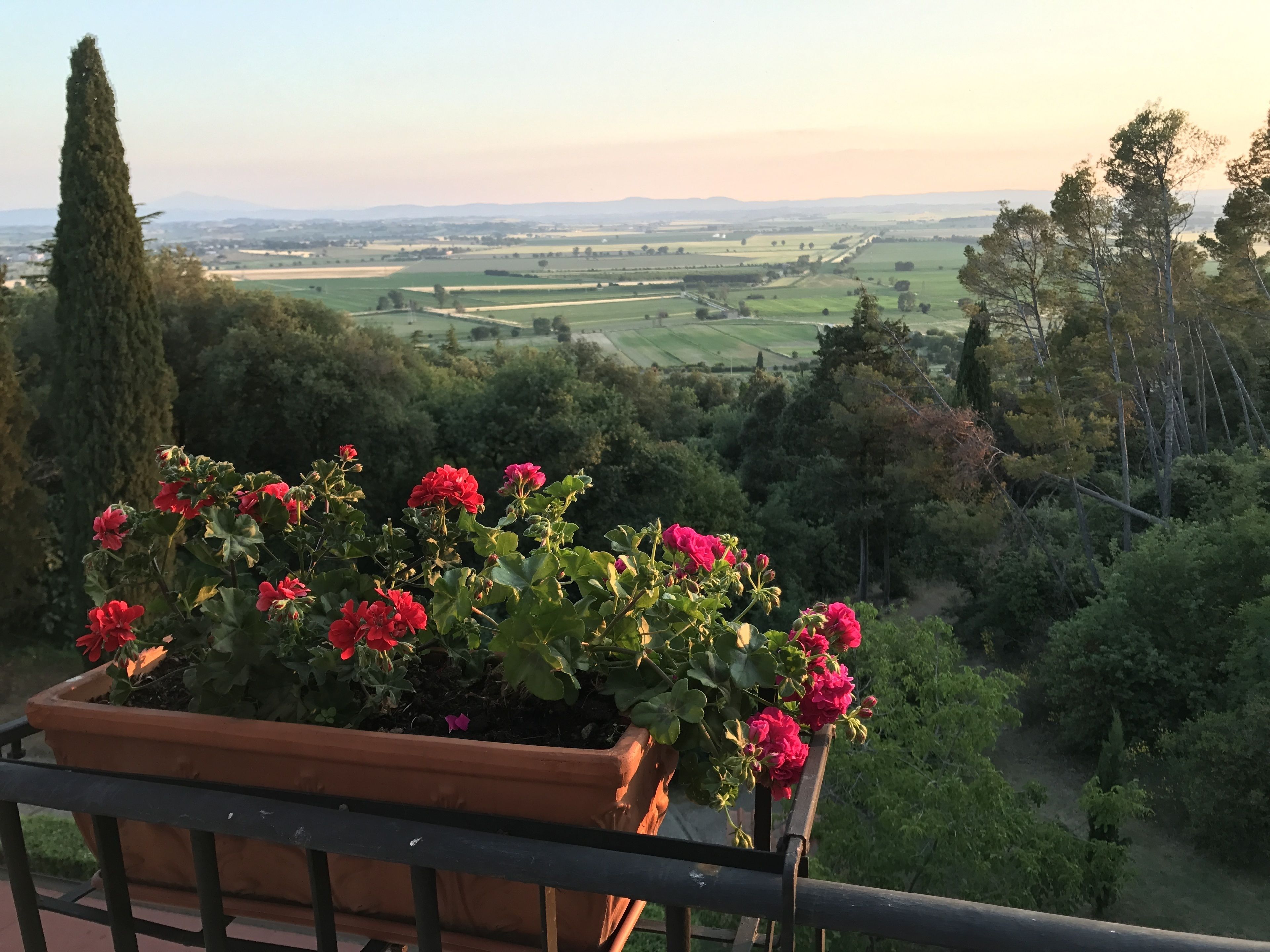 Vista dalla struttura