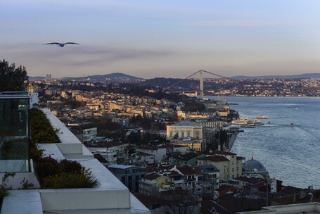 CVK Park Bosphorus Hotel Istanbul - Image 26