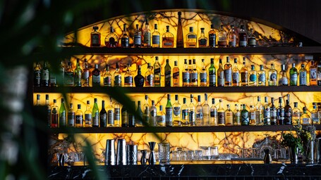 CVK Park Bosphorus Hotel Istanbul - Image 15