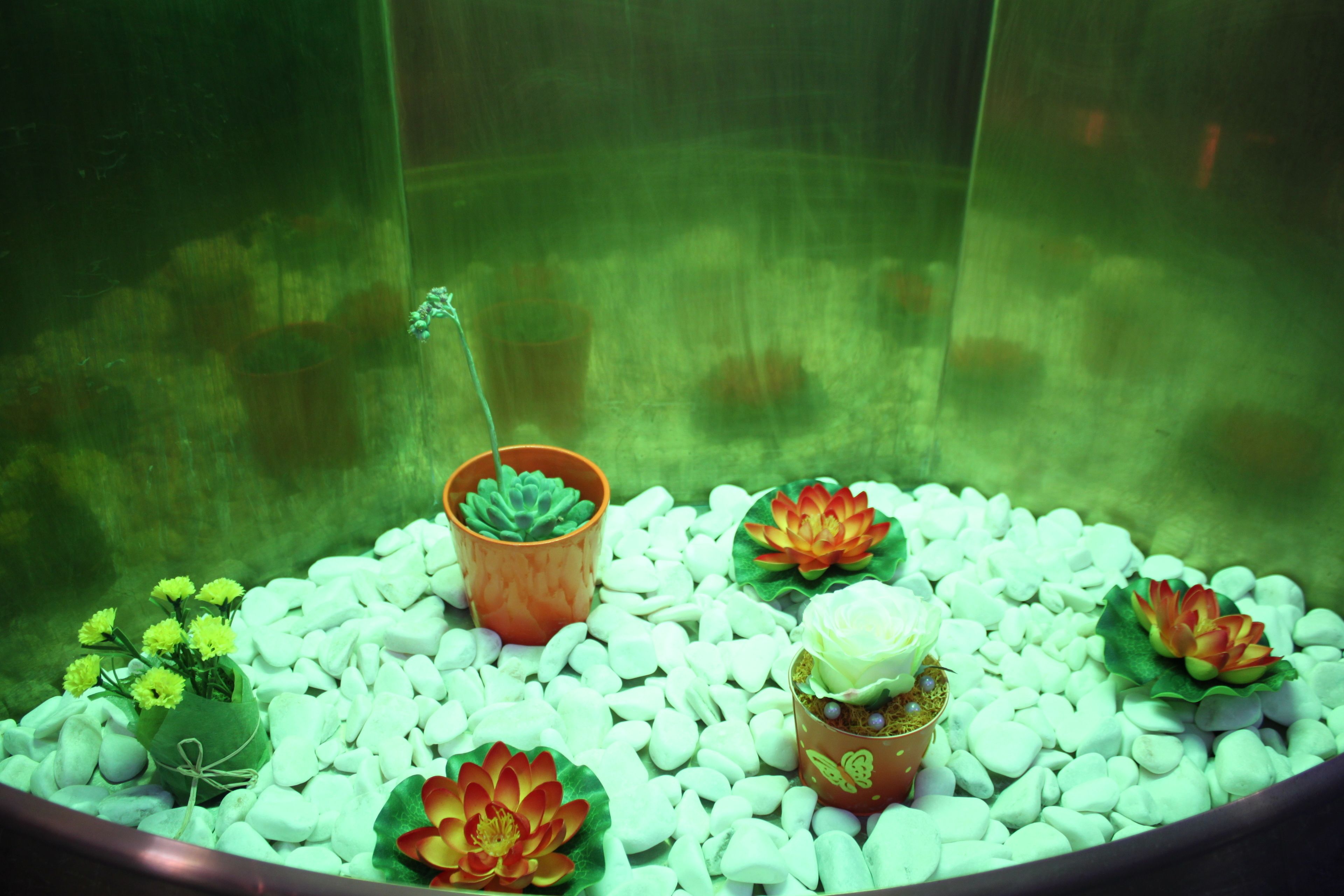 breakfast (eur 5.00 per person)