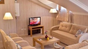 A cozy living room with a television, two sofas, a coffee table, and lamps. - The Bosphorus Aparts (Istanbul)