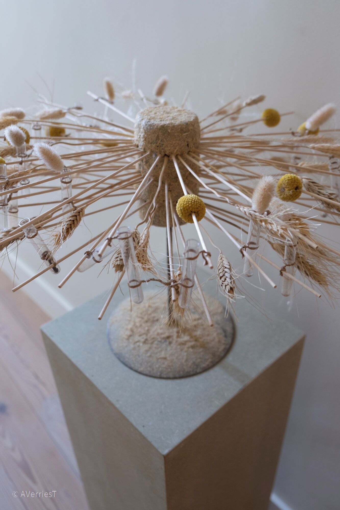 A decorative art piece with a central spherical structure surrounded by various elements like dried plants and small spheres.