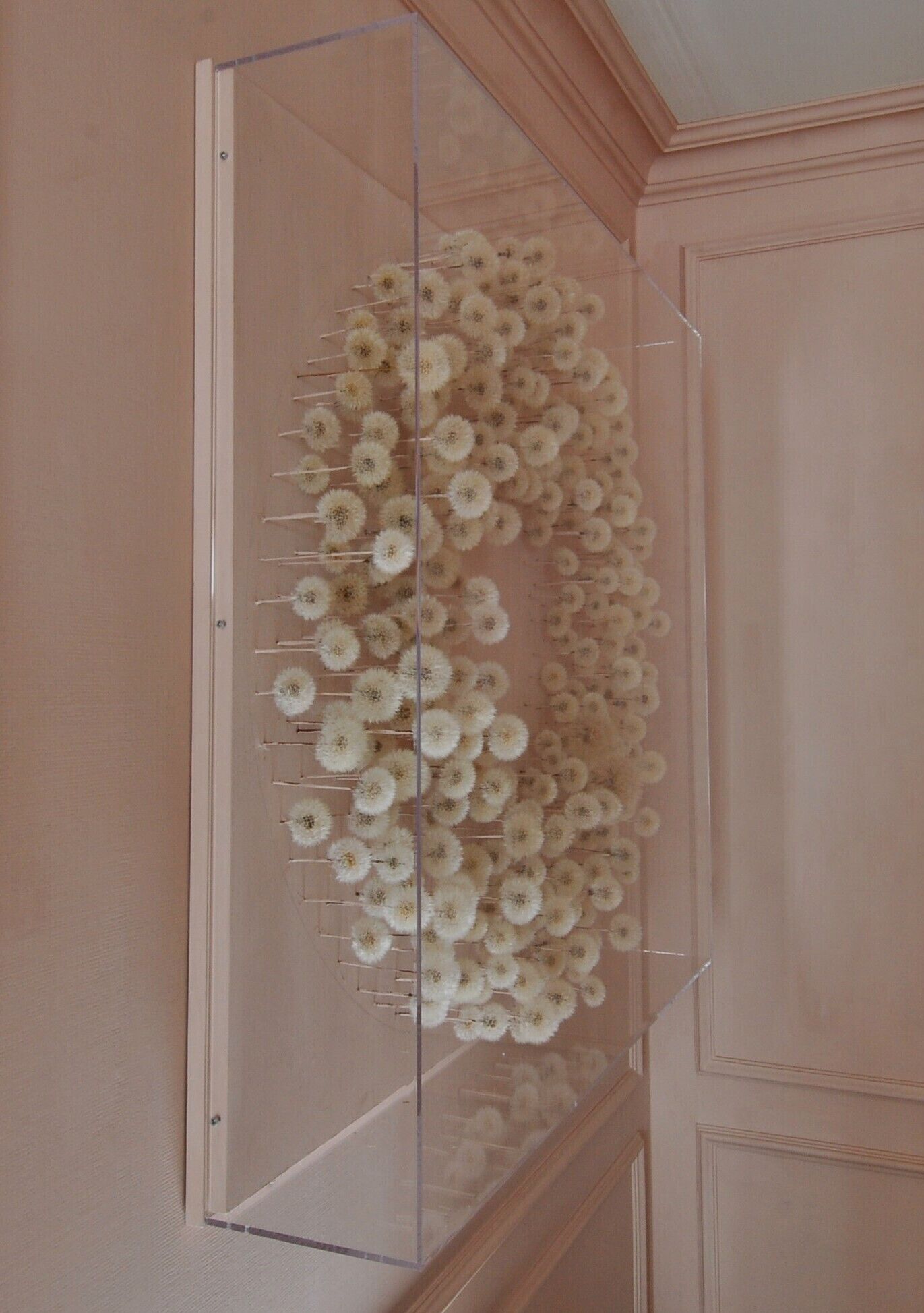 Una habitación con una vitrina grande y transparente que contiene numerosas flores blancas.