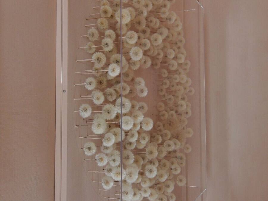 Una habitación con una vitrina grande y transparente que contiene numerosas flores blancas.