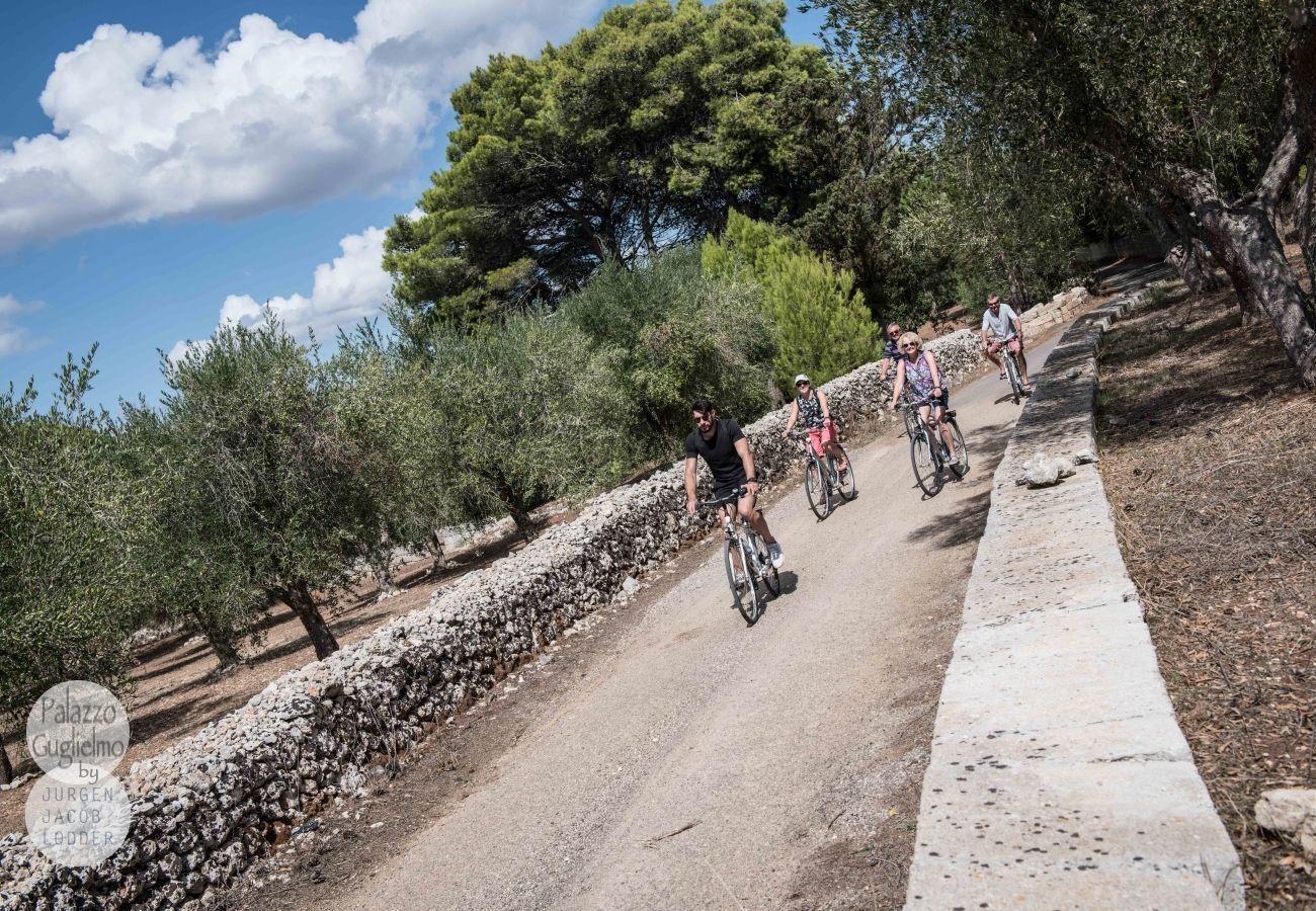 A paved path with cyclists, surrounded by olive trees and a stone wall.