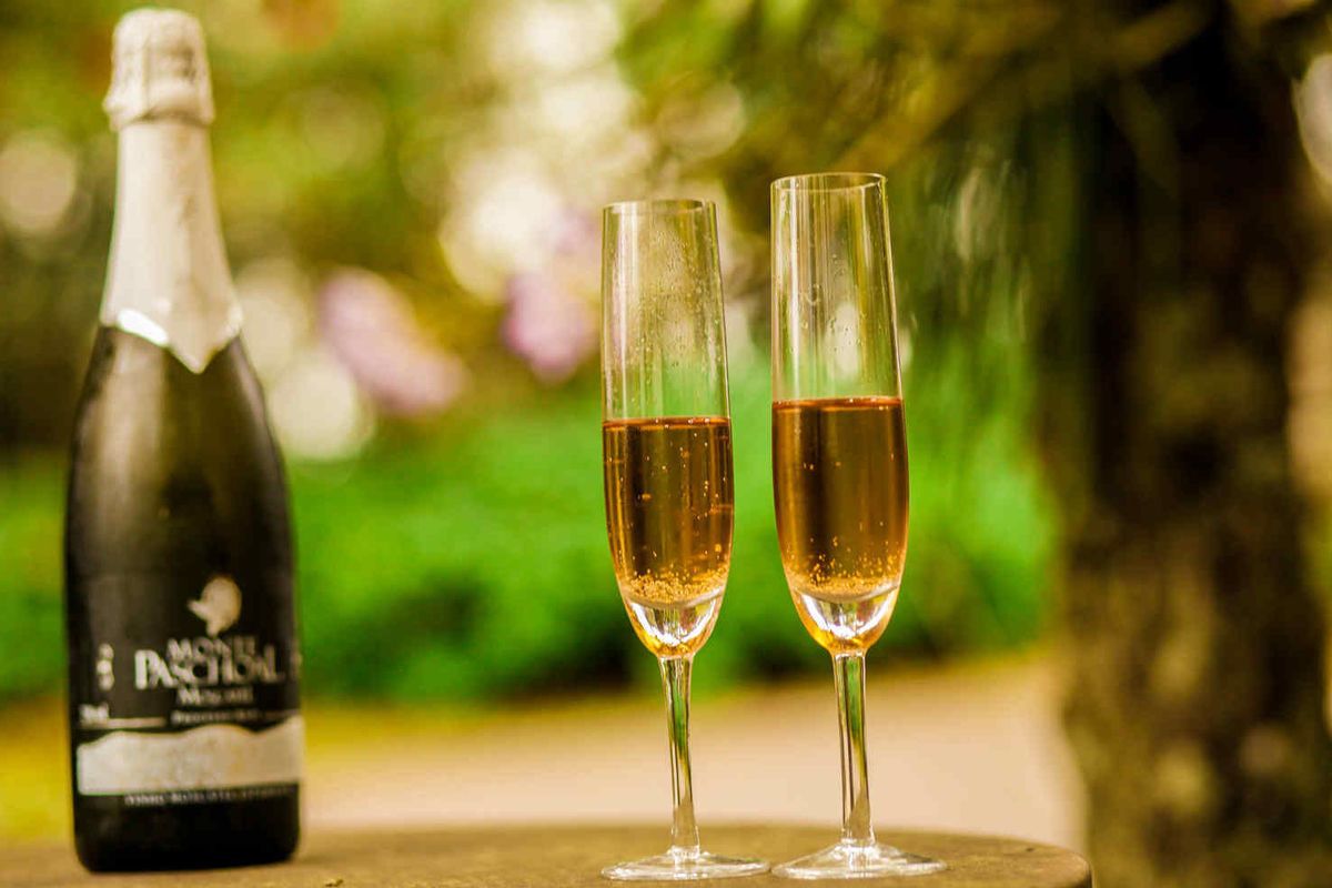 Photo - Pousada Das Papoulas