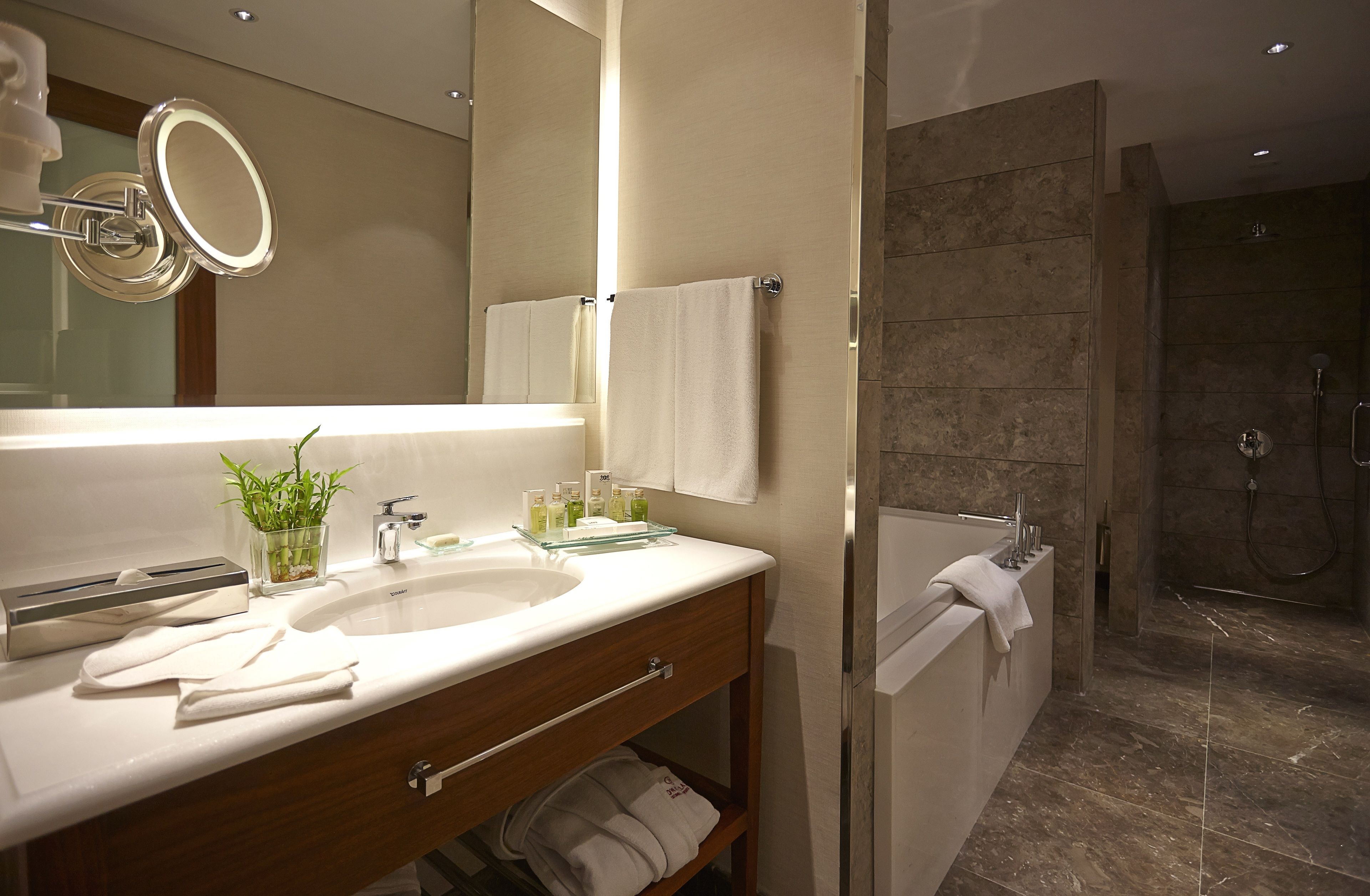 combined shower/bathtub, free toiletries, hair dryer, bathrobes