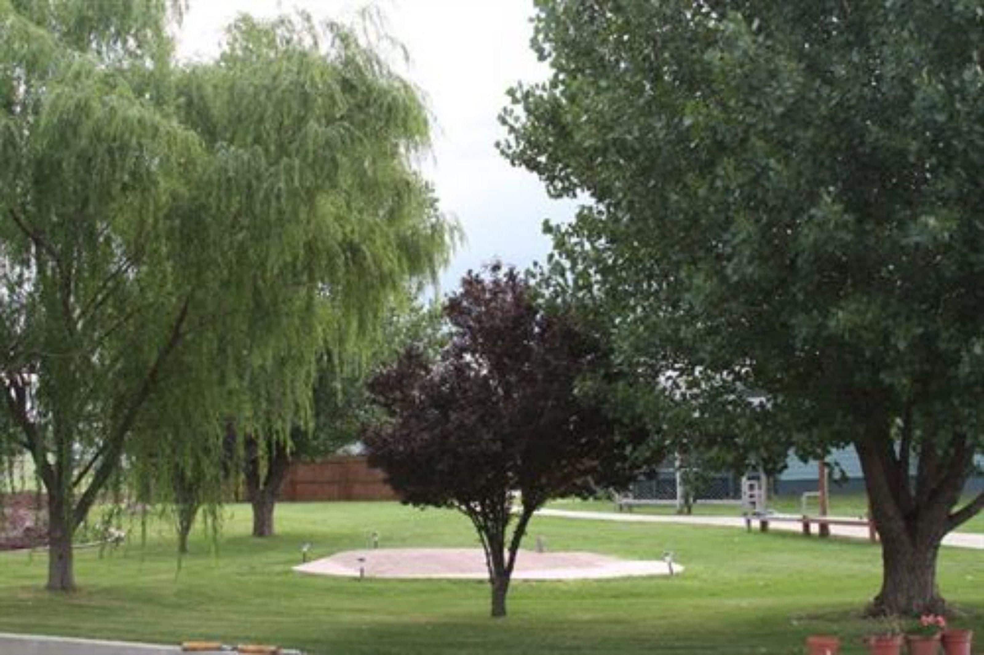 Ein Park mit einer runden Rasenfläche, Bäumen und einer Bank.