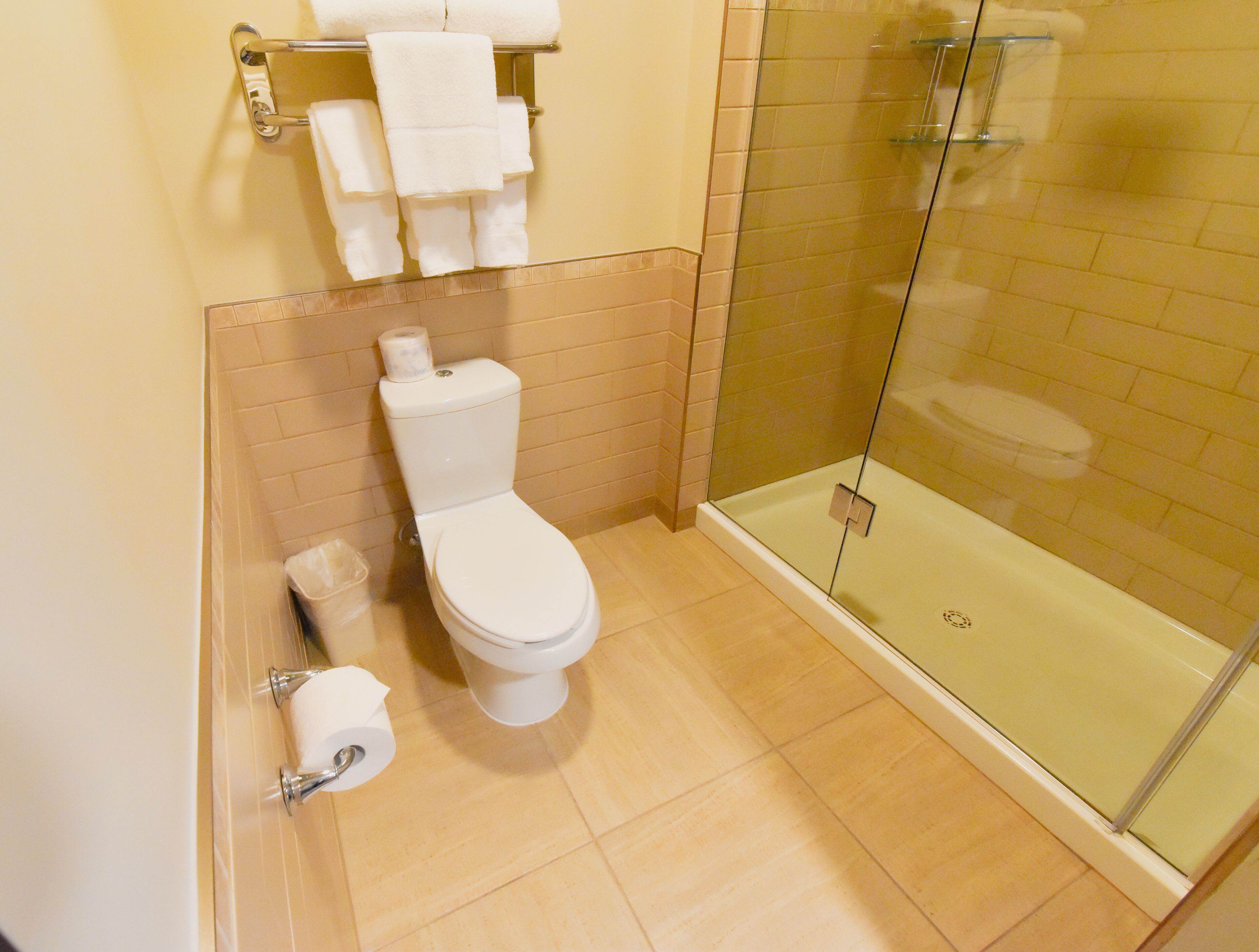 executive suite | bathroom | hair dryer, towels