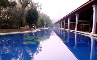 Una piscina al aire libre