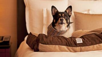 En hund ligger i en seng med en brun og beige hundeseng.