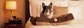 Pet-friendly - Hyatt Place Chicago-South/University Medical Center (Chicago)