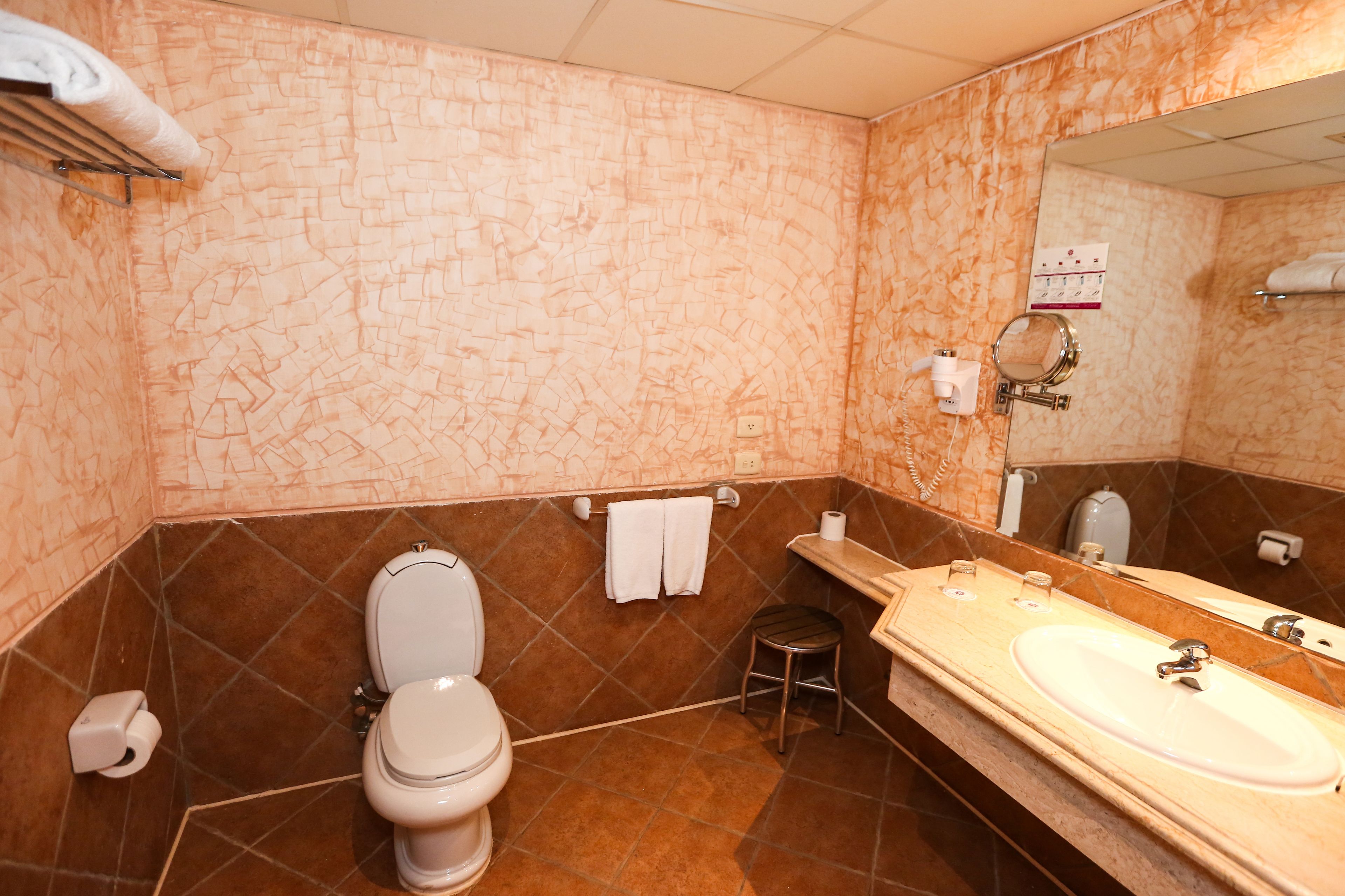 shower, free toiletries, hair dryer, bidet