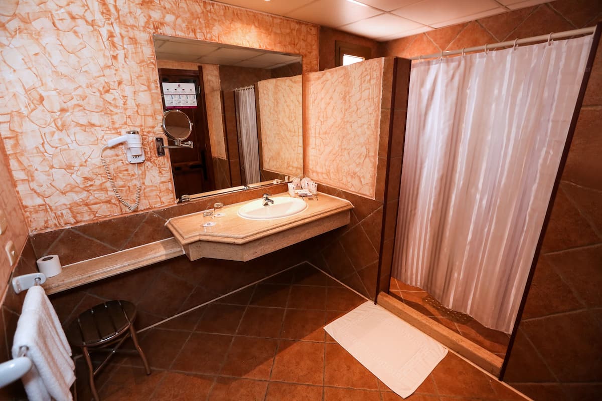 shower, free toiletries, hair dryer, bidet