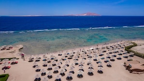 A beach with numerous sun umbrellas and lounge chairs arranged in rows, facing the ocean. - Charmillion Sea Life Resort (Sharm El Sheikh)