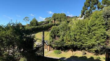 A residential area with houses on a hillside, surrounded by dense greenery.