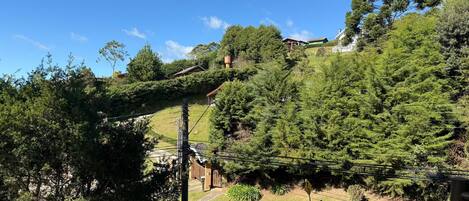 A residential area with houses on a hillside, surrounded by dense greenery.