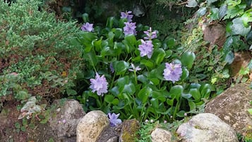 Jardín
