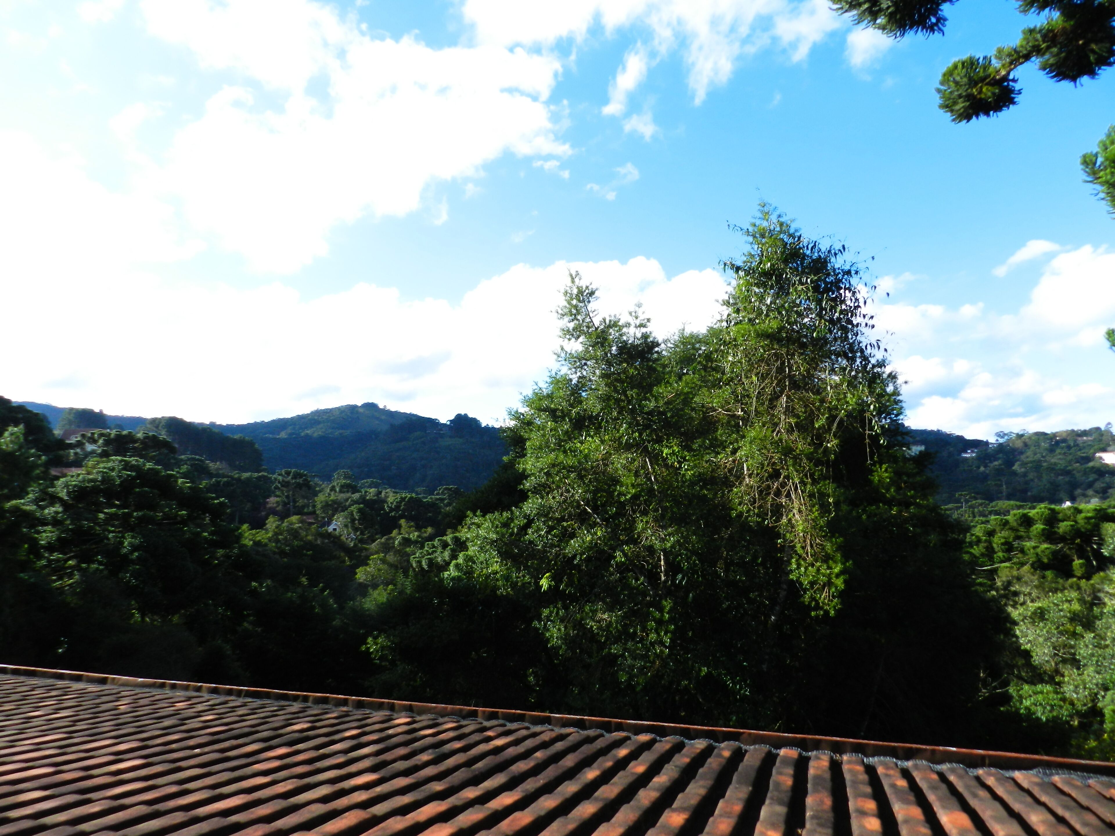 Vista de un paisaje montañoso con abundante vegetación y cielo despejado.