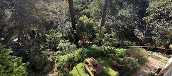Recanto das Araucarias