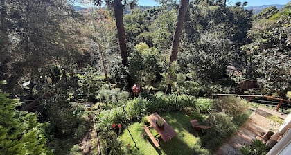 Recanto das Araucarias