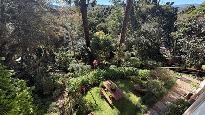 Recanto das Araucarias