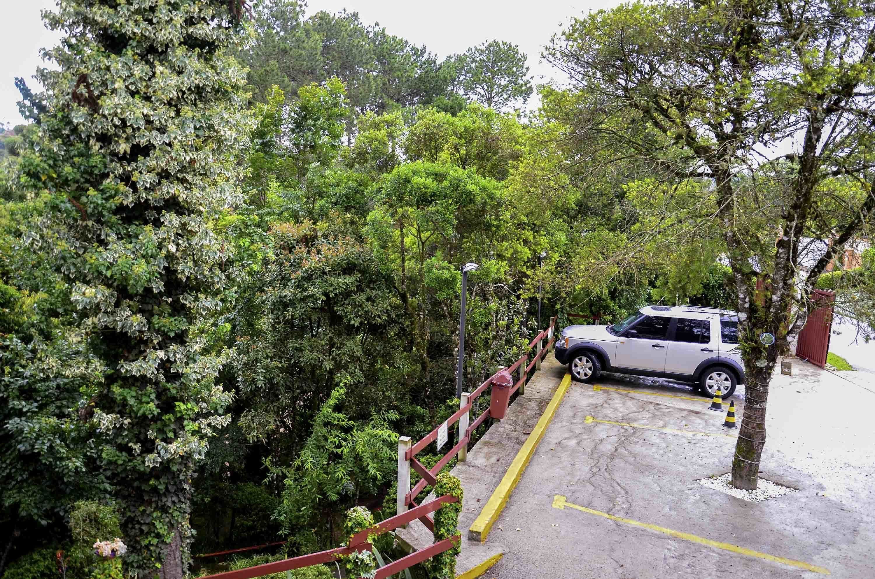 A parking area with a white SUV, surrounded by dense greenery and trees.