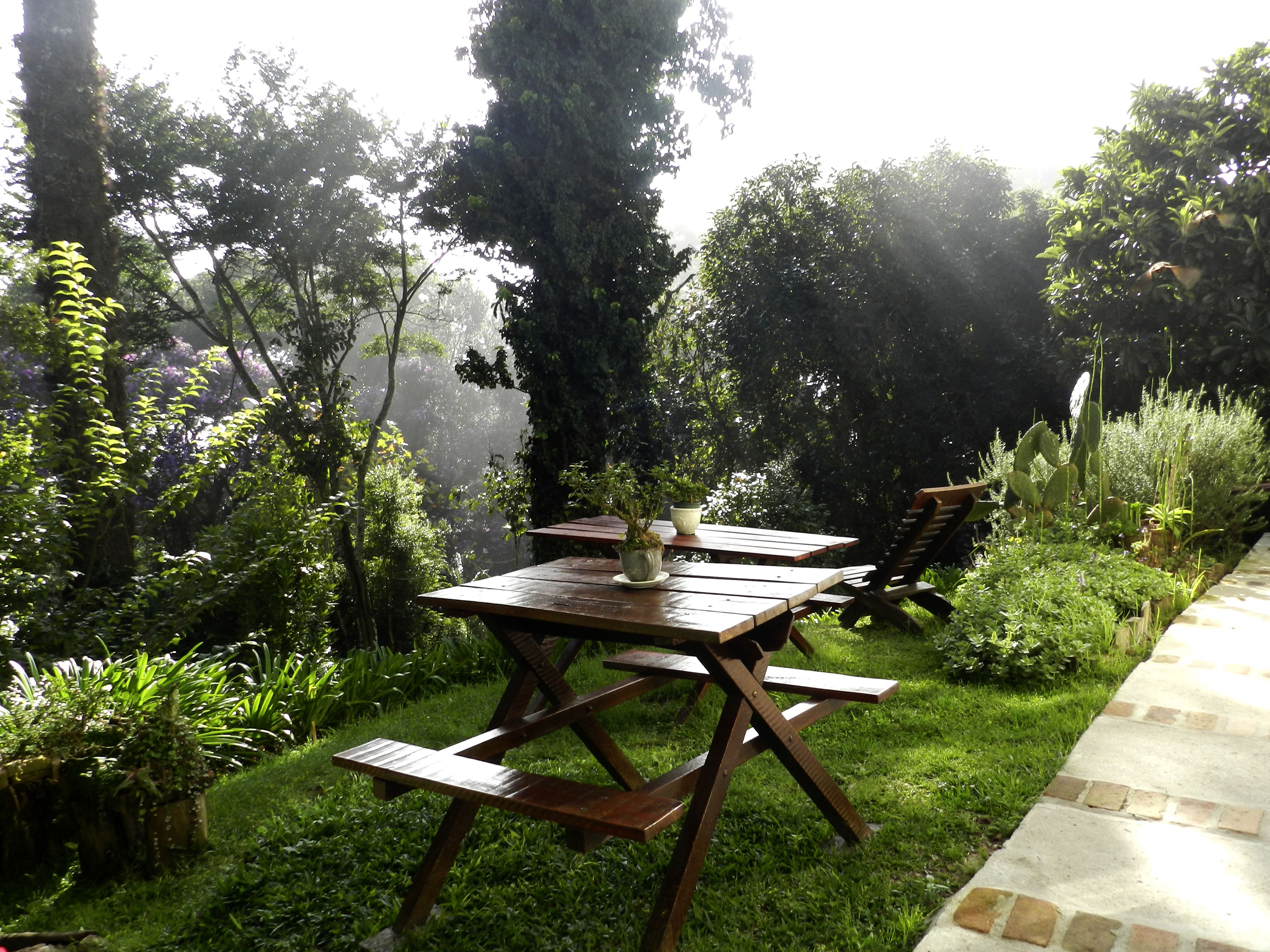 A wooden picnic table with benches in a lush garden with dense foliage and a clear view of the sky.