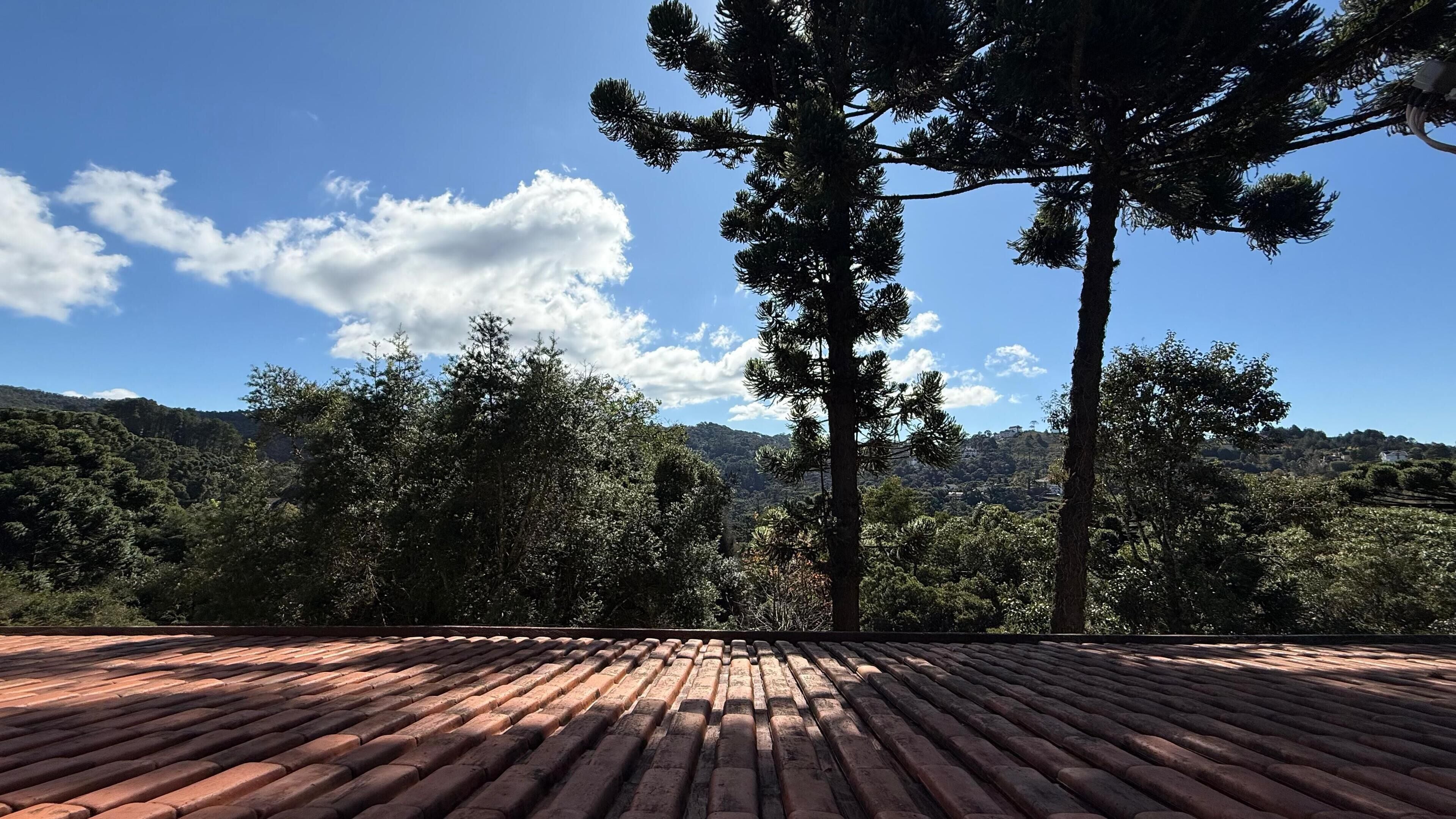 A terrace with a tiled roof overlooking a forested hillside.