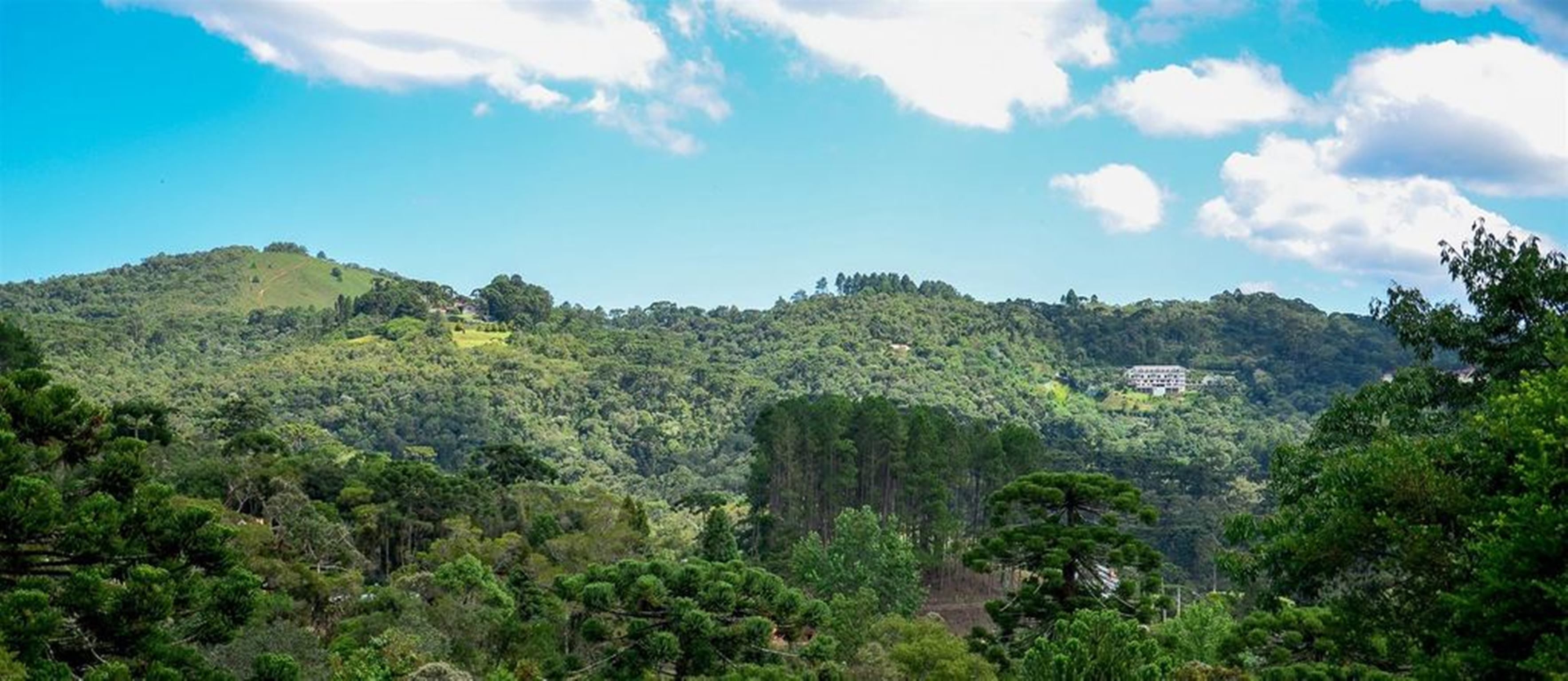 A lush green landscape with a hill and a building on top.