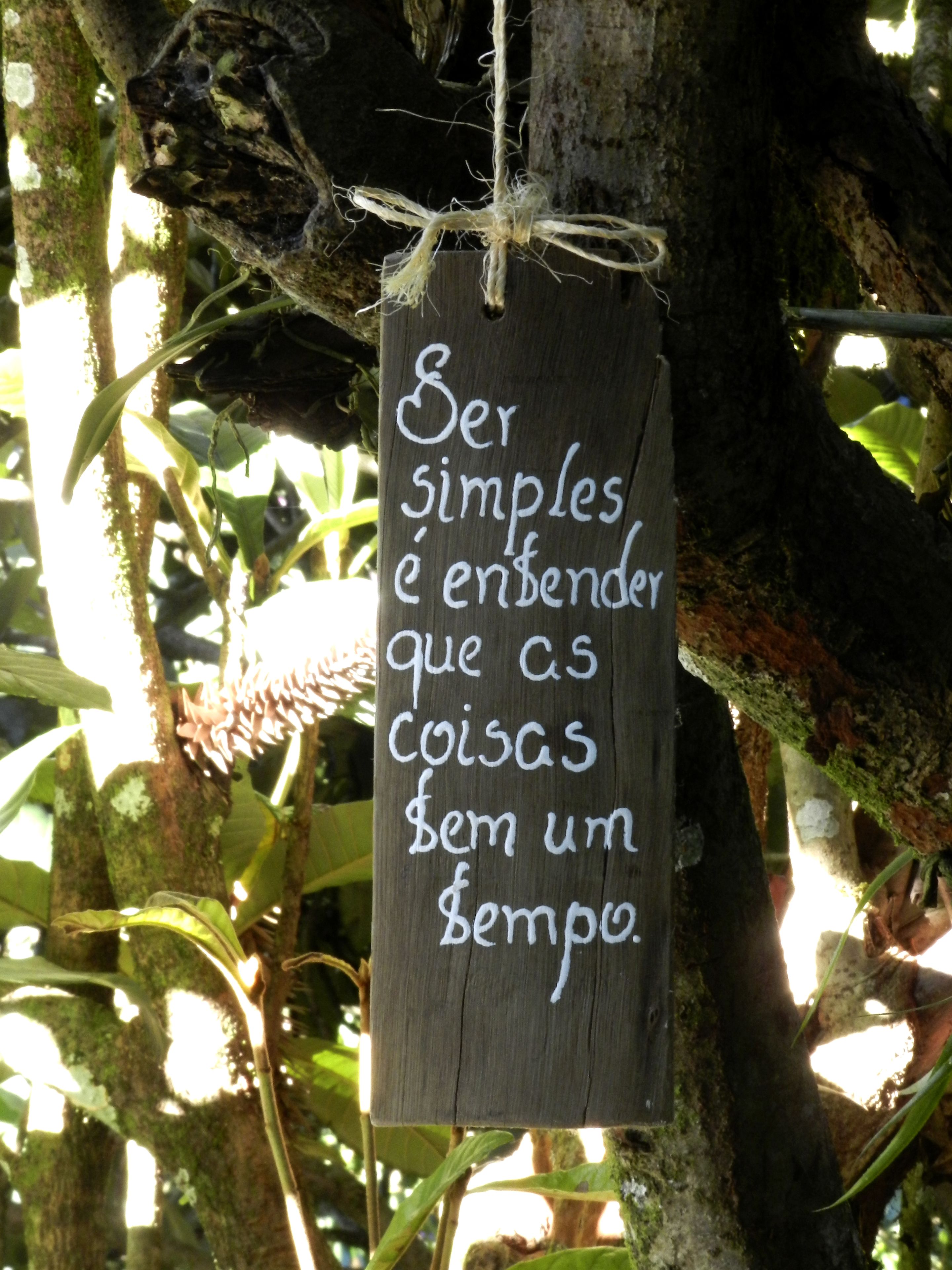 Une pancarte en bois avec du texte, suspendue à une branche d’arbre dans une zone boisée.