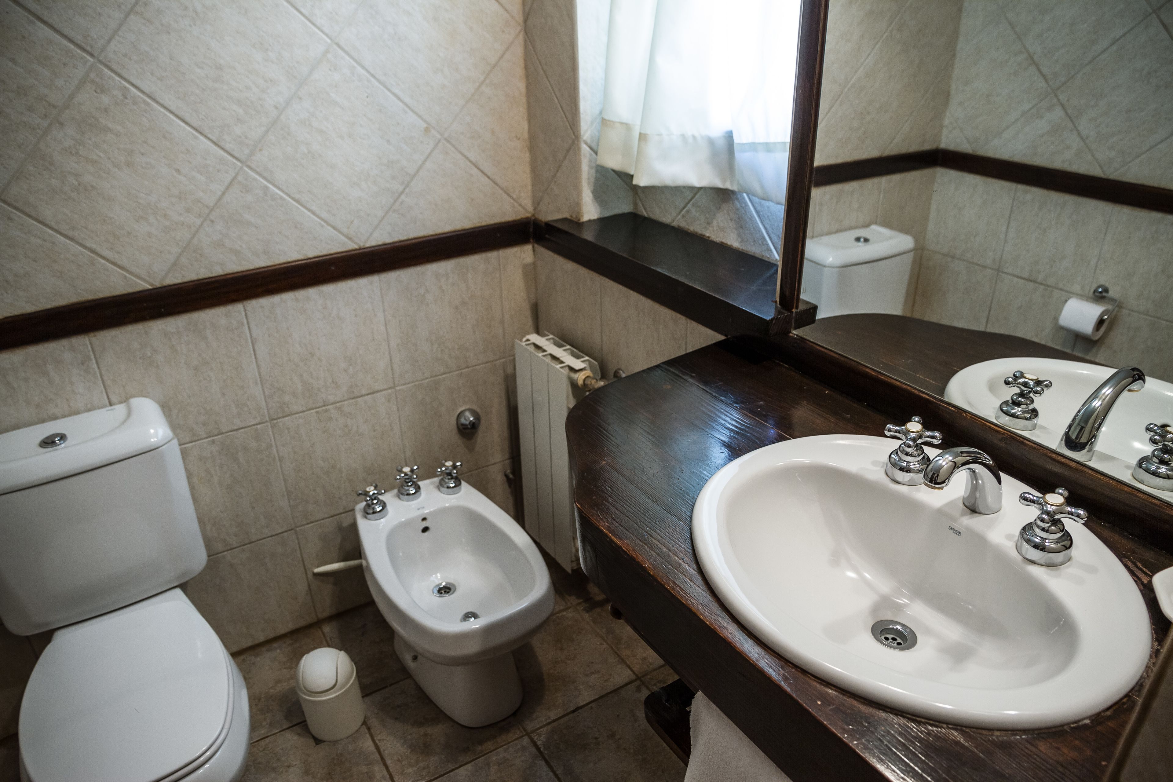 combined shower/bathtub, free toiletries, hair dryer, bidet