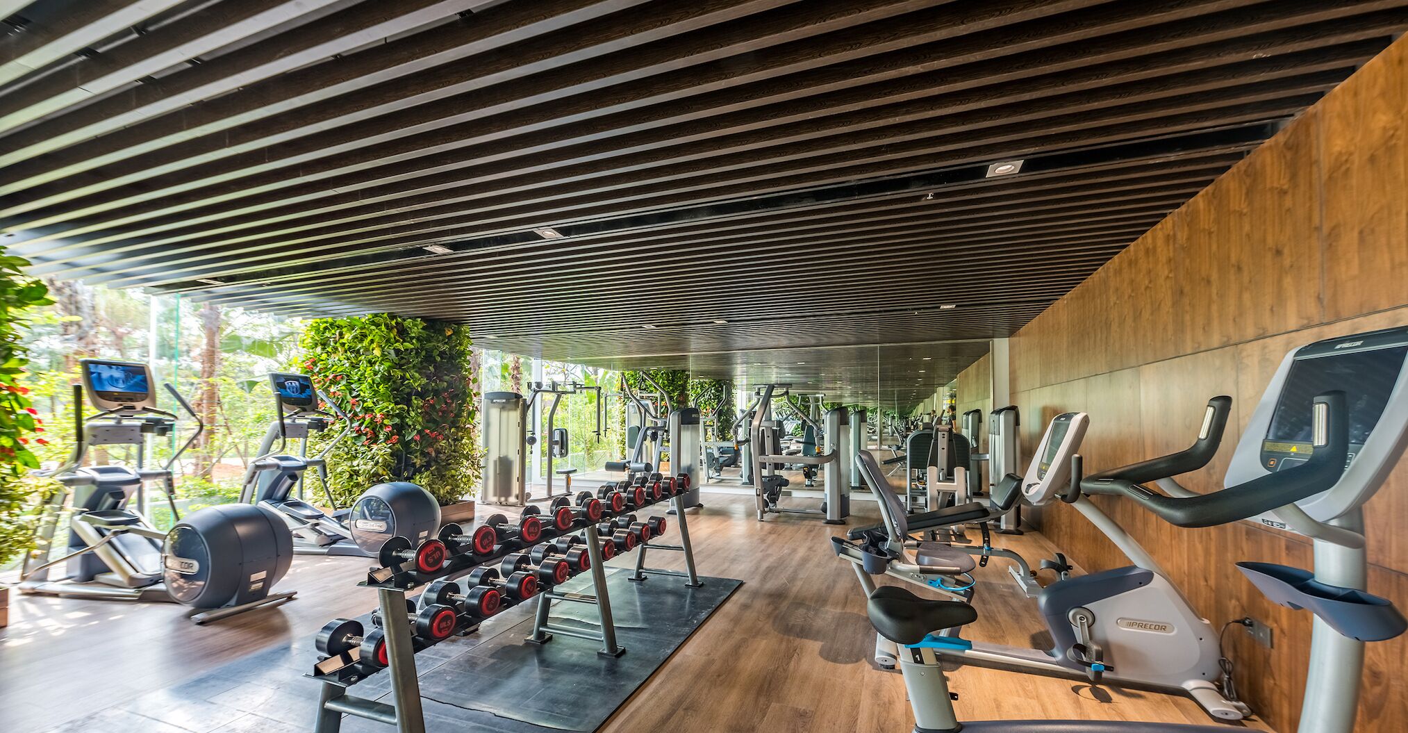 A modern gym with various exercise equipment, including treadmills, ellipticals, and free weights.