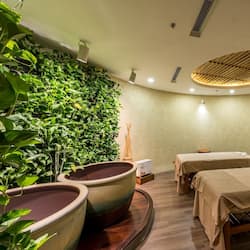 Sauna, hot springs, hydrotherapy, aromatherapy, body wraps, body scrubs