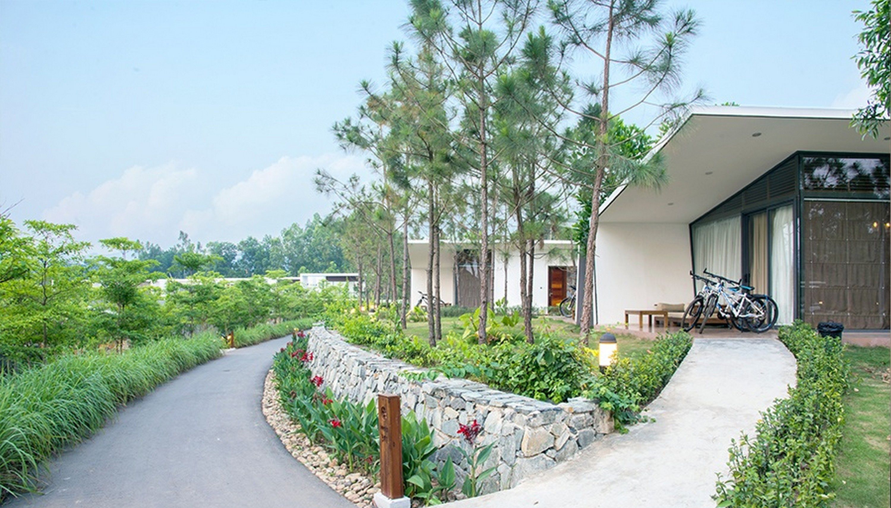 Forest Villa | View from room