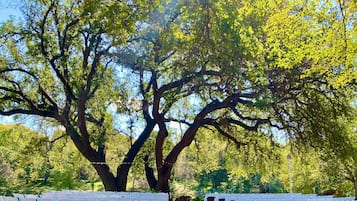 Área de bodas al aire libre