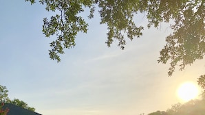 A grassy area with a dog, a stone building, and a body of water. - Inn On The River (Glen Rose)