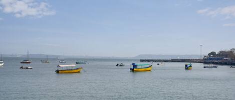 Boats bob gently in the calm harbor, offering serene views of the city skyline.