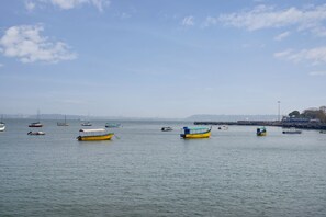 A calm harbor with various boats anchored. - The Hawaii Comforts (Panaji)
