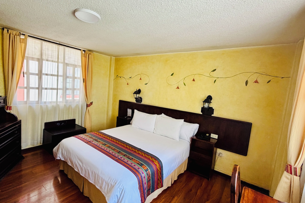Een hotelkamer met een bed, een televisie, een dressoir en een raam met gordijnen.