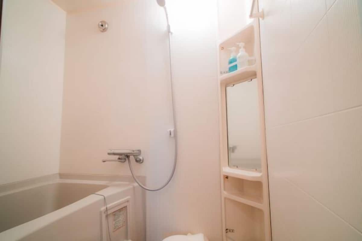 Bañera con ducha, artículos de tocador gratuitos, secador de pelo