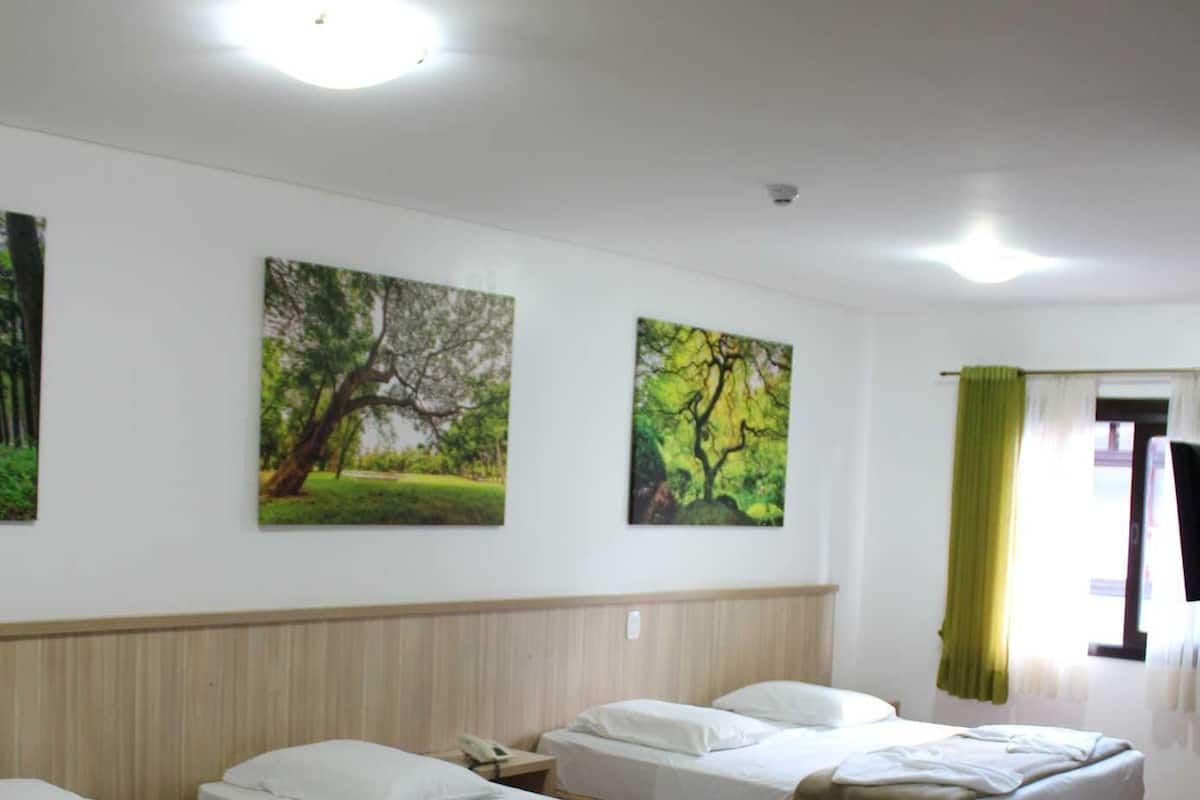 Minibar, blackout curtains, iron/ironing board, free WiFi