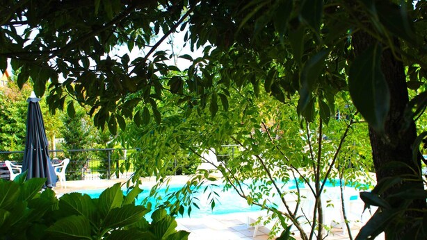 Una piscina rodeada de exuberante vegetación y sillas de descanso blancas.