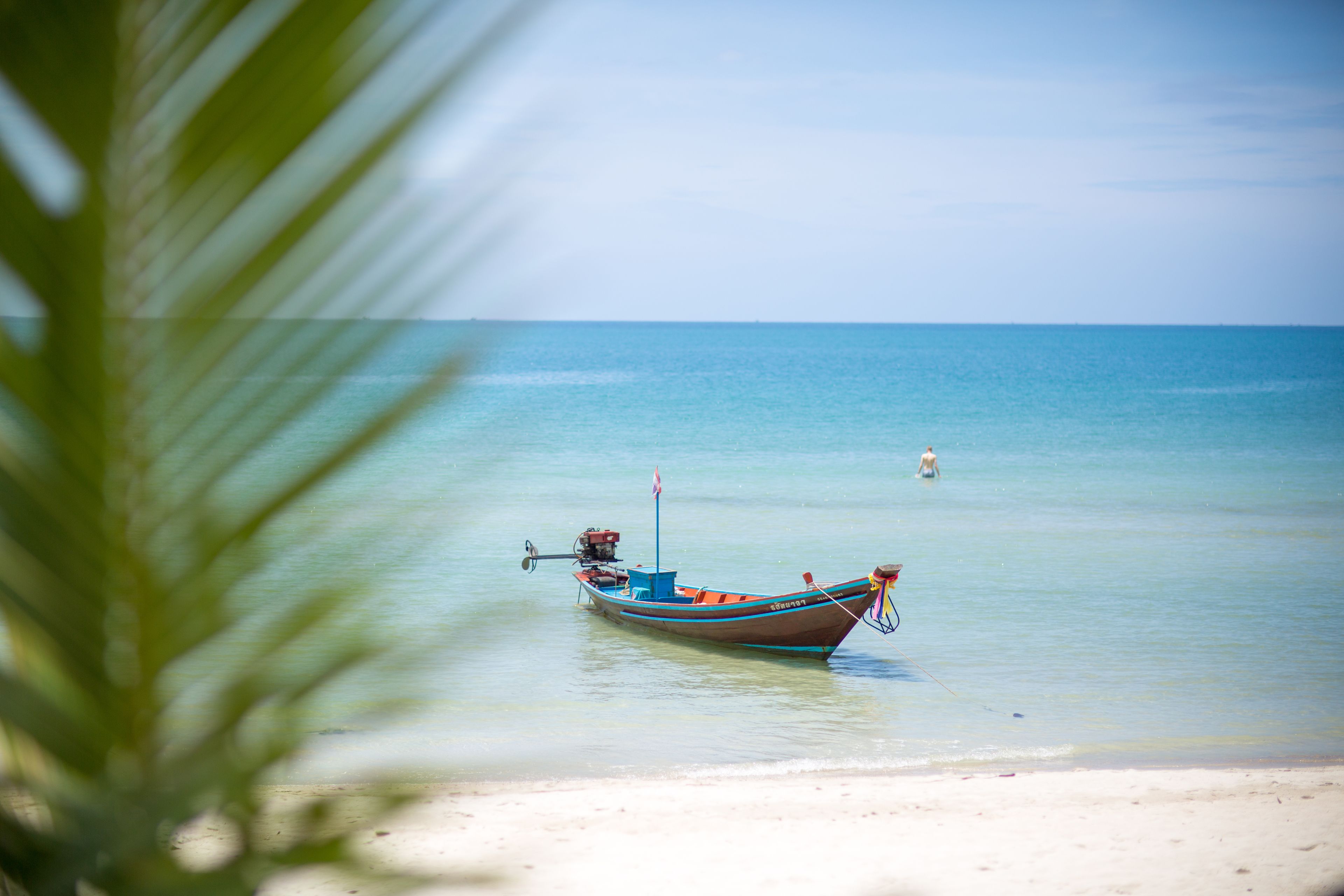 Un bateau est amarré près d’une plage, l’eau est claire et un palmier se trouve au premier plan.