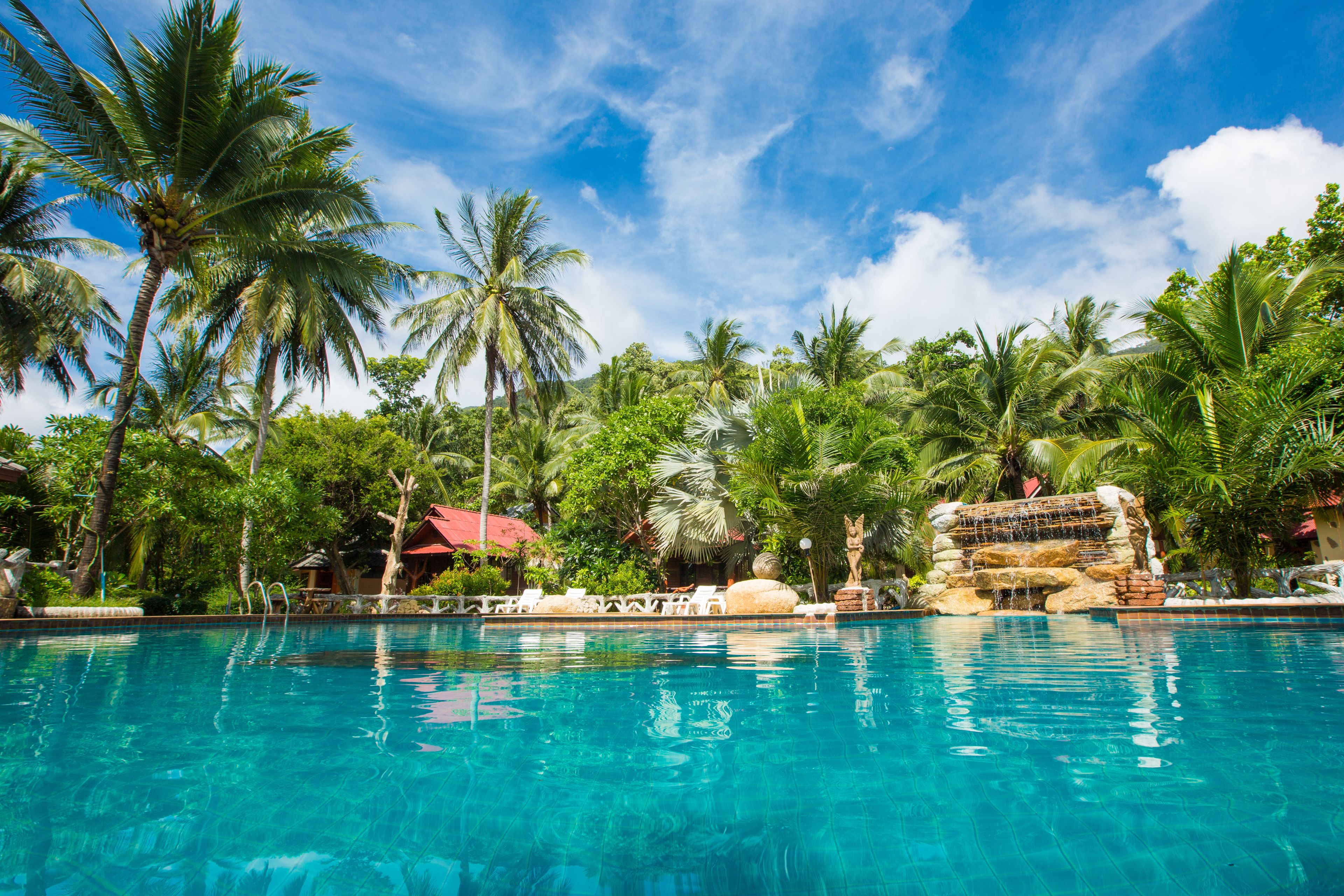 Outdoor pool, sun loungers