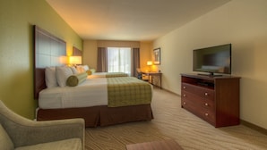 Une chambre d’hôtel avec un grand lit, une télévision, un bureau et une chaise.